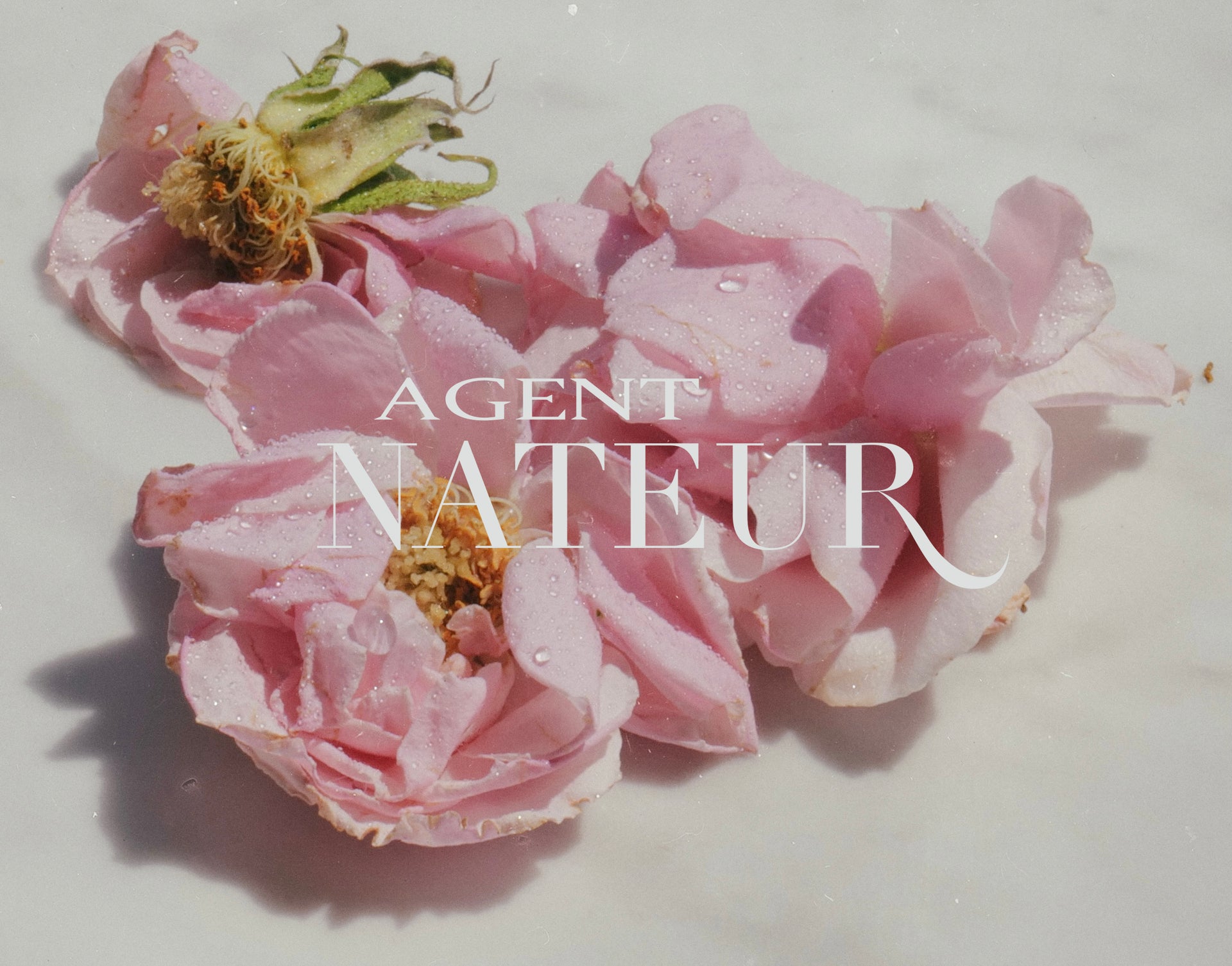 agent nateur